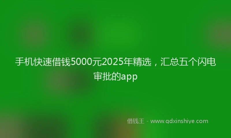 手机快速借钱5000元2025年精选，汇总五个闪电审批的app