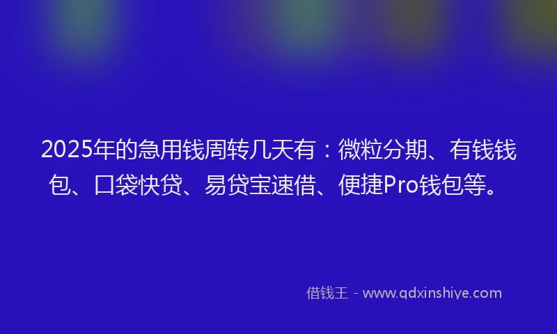 2025年的急用钱周转几天有：微粒分期、有钱钱包、口袋快贷、易贷宝速借、便捷Pro钱包等。