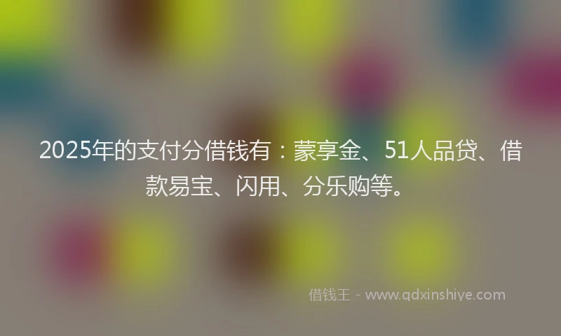 2025年的支付分借钱有：蒙享金、51人品贷、借款易宝、闪用、分乐购等。