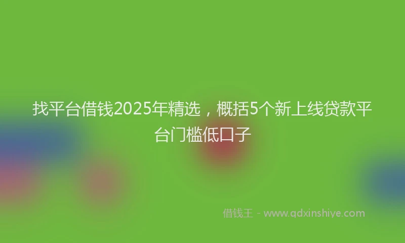找平台借钱2025年精选，概括5个新上线贷款平台门槛低口子
