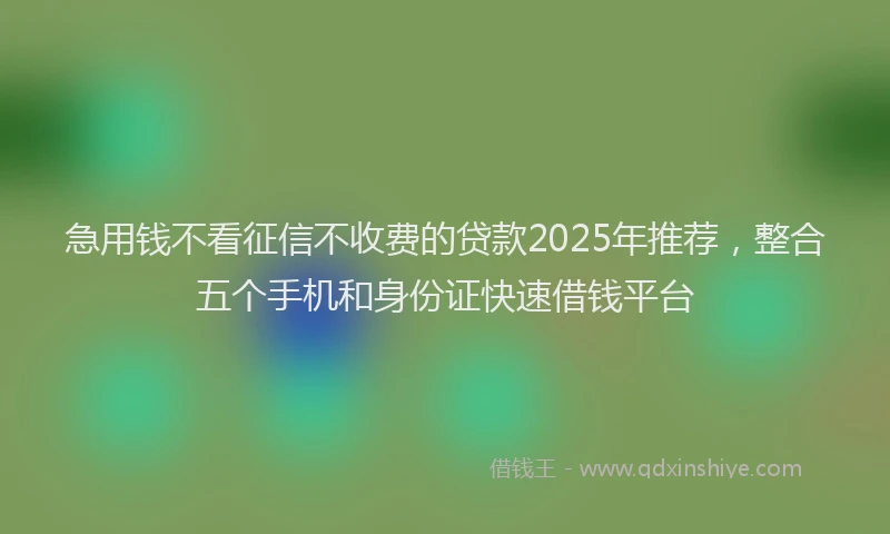 急用钱不看征信不收费的贷款2025年推荐，整合五个手机和身份证快速借钱平台