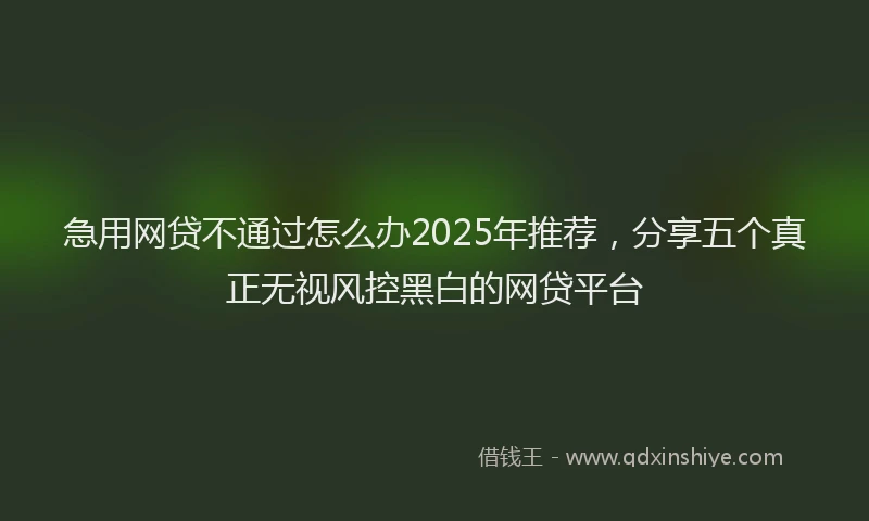急用网贷不通过怎么办2025年推荐，分享五个真正无视风控黑白的网贷平台