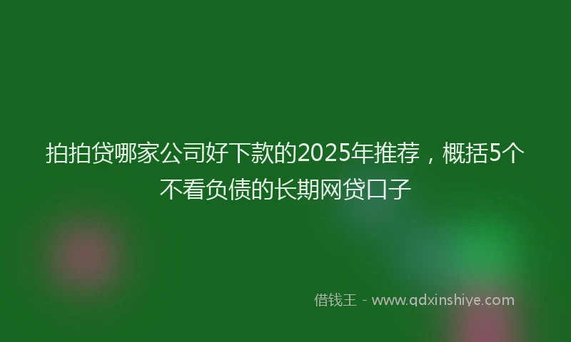 拍拍贷哪家公司好下款的2025年推荐，概括5个不看负债的长期网贷口子