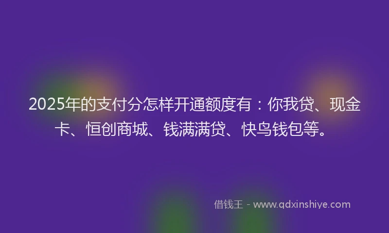 2025年的支付分怎样开通额度有：你我贷、现金卡、恒创商城、钱满满贷、快鸟钱包等。