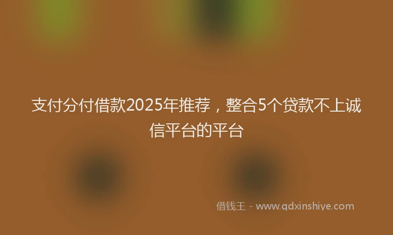 支付分付借款2025年推荐，整合5个贷款不上诚信平台的平台