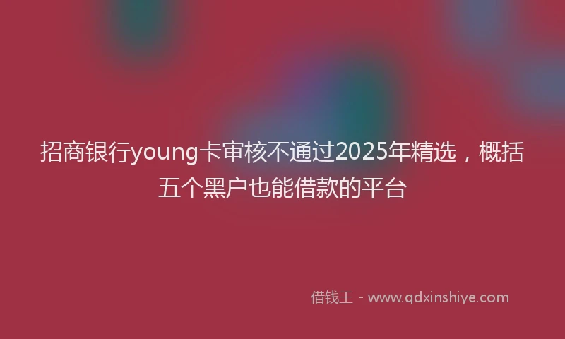 招商银行young卡审核不通过2025年精选，概括五个黑户也能借款的平台
