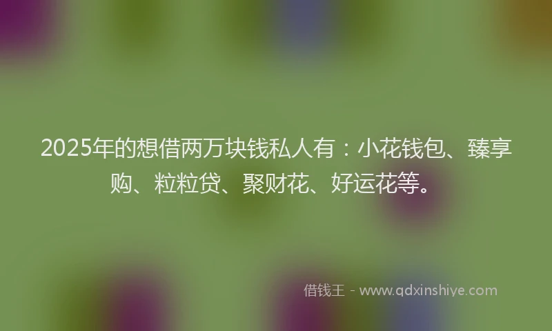 2025年的想借两万块钱私人有：小花钱包、臻享购、粒粒贷、聚财花、好运花等。