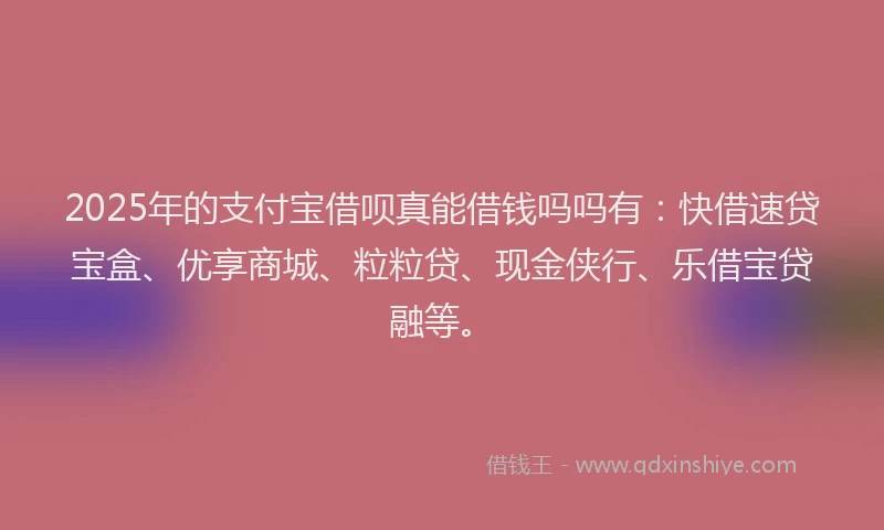 2025年的支付宝借呗真能借钱吗吗有：快借速贷宝盒、优享商城、粒粒贷、现金侠行、乐借宝贷融等。