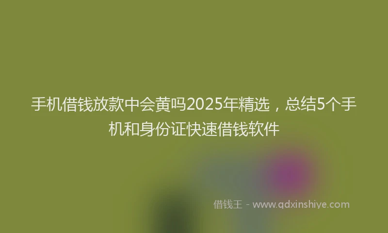 手机借钱放款中会黄吗2025年精选，总结5个手机和身份证快速借钱软件