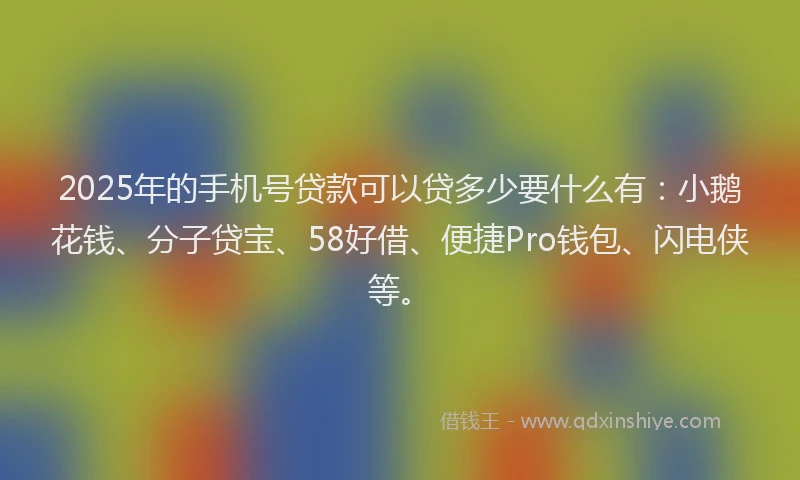 2025年的手机号贷款可以贷多少要什么有：小鹅花钱、分子贷宝、58好借、便捷Pro钱包、闪电侠等。