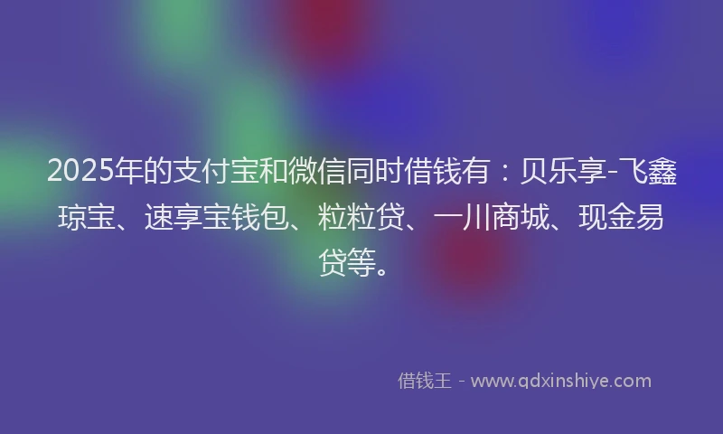 2025年的支付宝和微信同时借钱有：贝乐享-飞鑫琼宝、速享宝钱包、粒粒贷、一川商城、现金易贷等。
