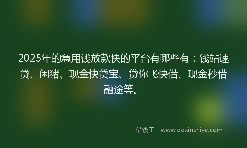 2025年的急用钱放款快的平台有哪些有：钱站速贷、闲猪、现金快贷宝、贷你飞快借、现金秒借融途等。