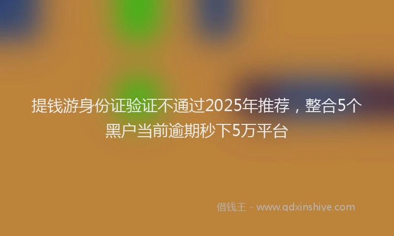 提钱游身份证验证不通过2025年推荐，整合5个黑户当前逾期秒下5万平台
