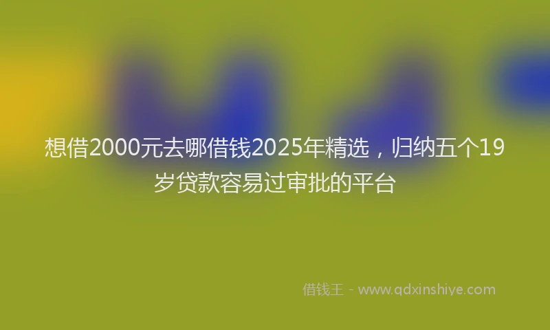 想借2000元去哪借钱2025年精选，归纳五个19岁贷款容易过审批的平台