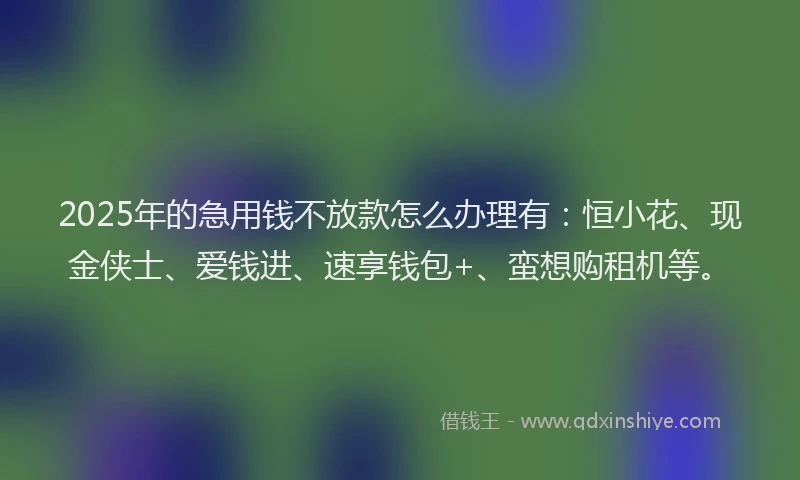 2025年的急用钱不放款怎么办理有：恒小花、现金侠士、爱钱进、速享钱包+、蛮想购租机等。