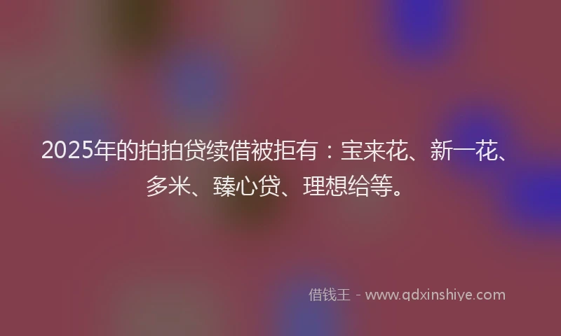 2025年的拍拍贷续借被拒有：宝来花、新一花、多米、臻心贷、理想给等。