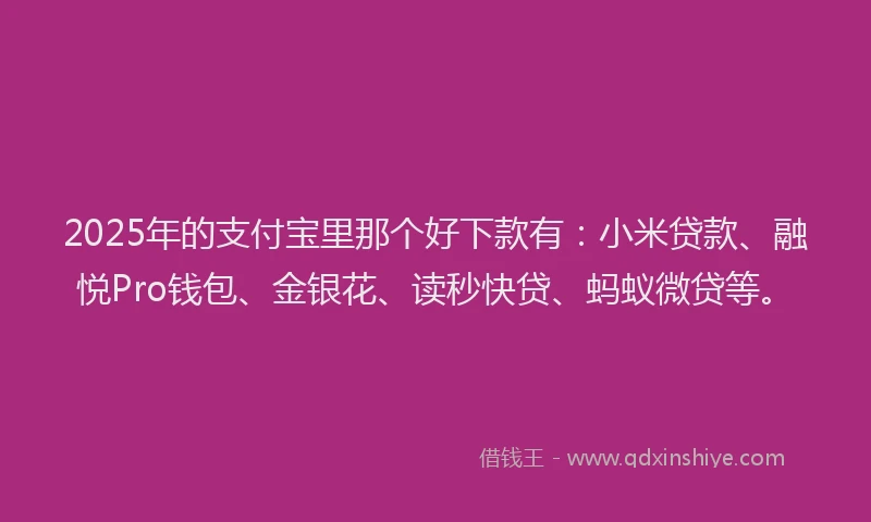 2025年的支付宝里那个好下款有：小米贷款、融悦Pro钱包、金银花、读秒快贷、蚂蚁微贷等。
