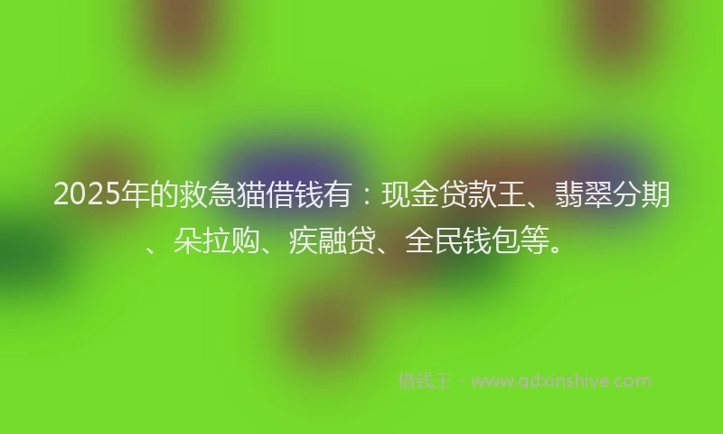 2025年的救急猫借钱有：现金贷款王、翡翠分期、朵拉购、疾融贷、全民钱包等。
