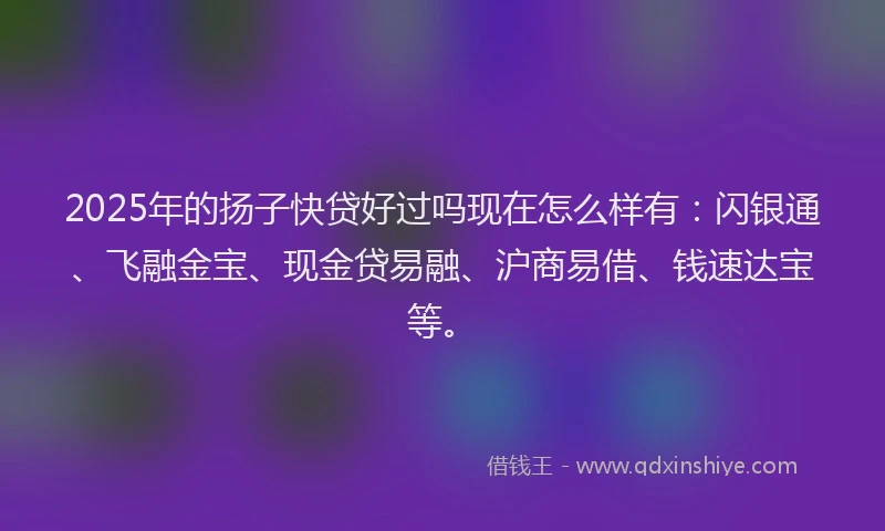 2025年的扬子快贷好过吗现在怎么样有：闪银通、飞融金宝、现金贷易融、沪商易借、钱速达宝等。