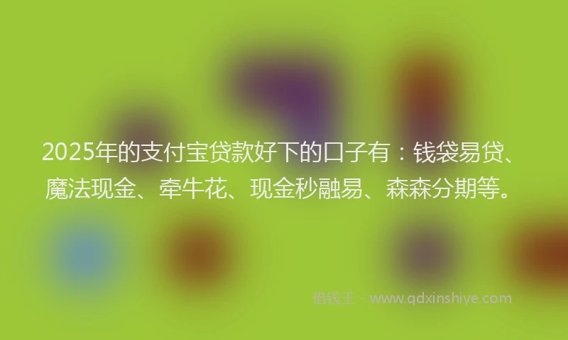 2025年的支付宝贷款好下的口子有：钱袋易贷、魔法现金、牵牛花、现金秒融易、森森分期等。