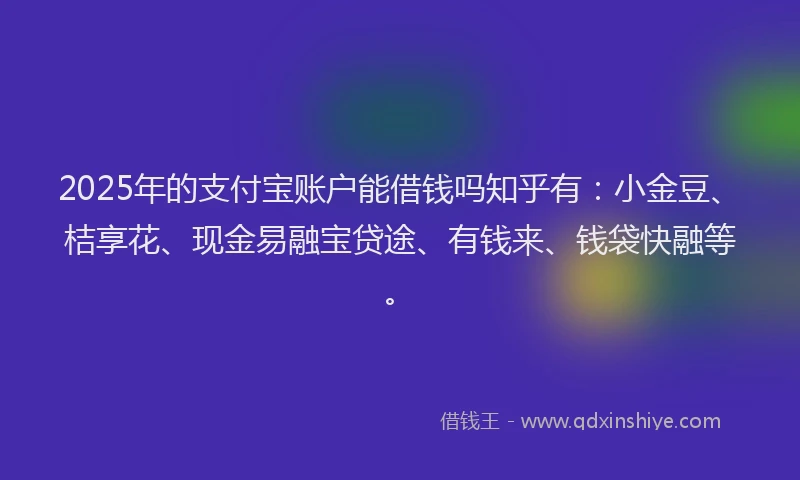 2025年的支付宝账户能借钱吗知乎有：小金豆、桔享花、现金易融宝贷途、有钱来、钱袋快融等。