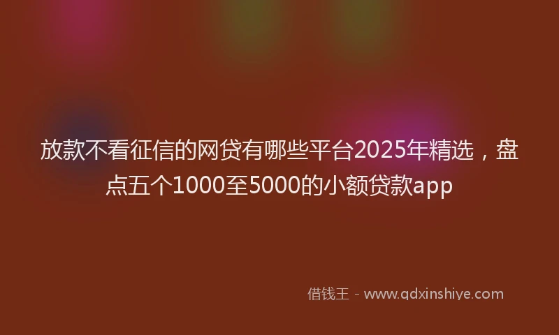 放款不看征信的网贷有哪些平台2025年精选，盘点五个1000至5000的小额贷款app