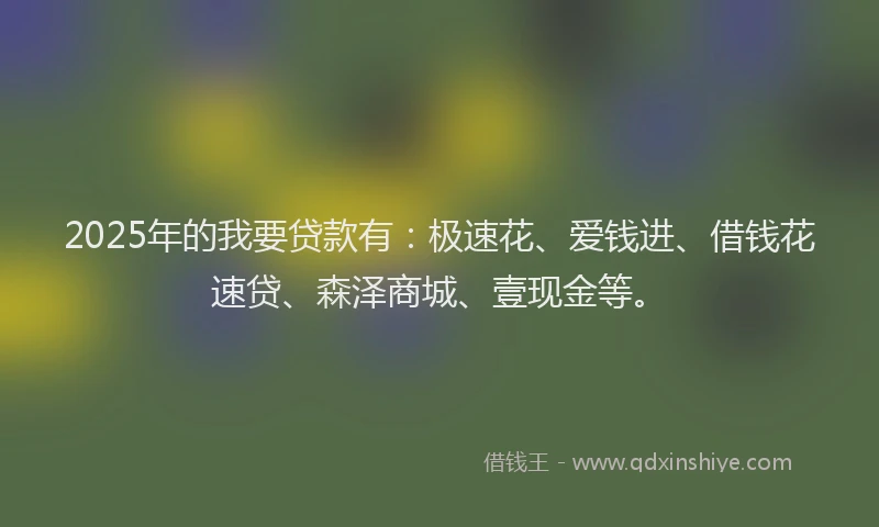 2025年的我要贷款有：极速花、爱钱进、借钱花速贷、森泽商城、壹现金等。
