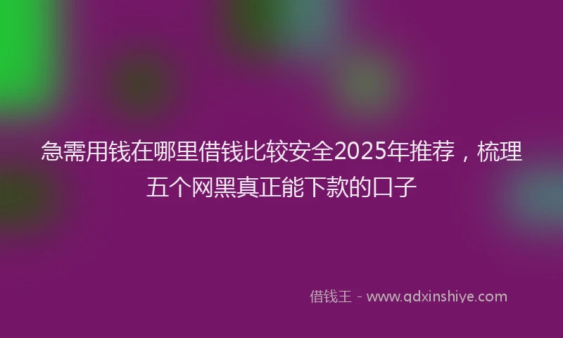 急需用钱在哪里借钱比较安全2025年推荐，梳理五个网黑真正能下款的口子