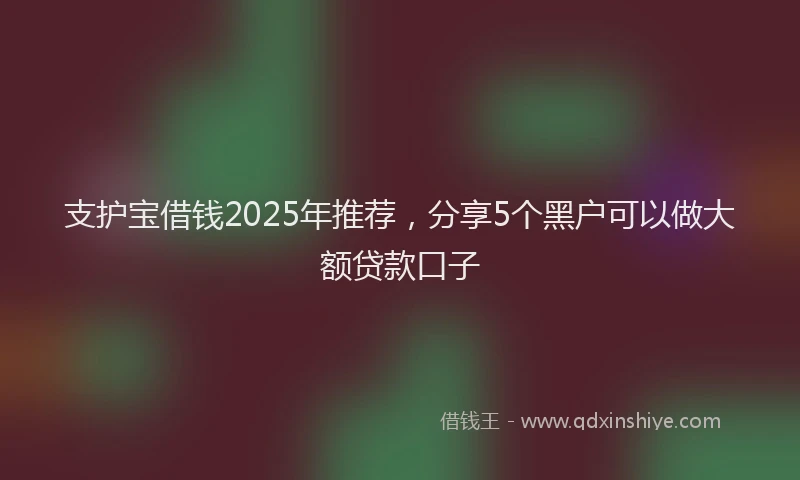 支护宝借钱2025年推荐，分享5个黑户可以做大额贷款口子