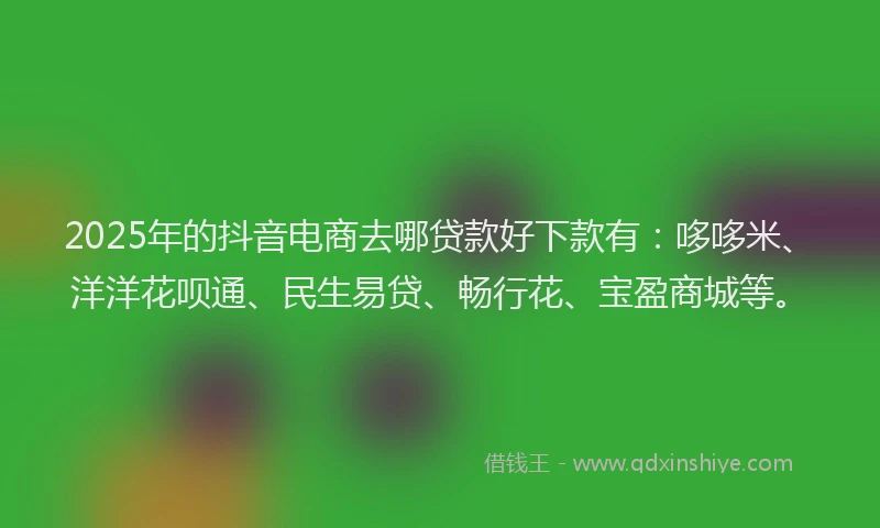 2025年的抖音电商去哪贷款好下款有：哆哆米、洋洋花呗通、民生易贷、畅行花、宝盈商城等。