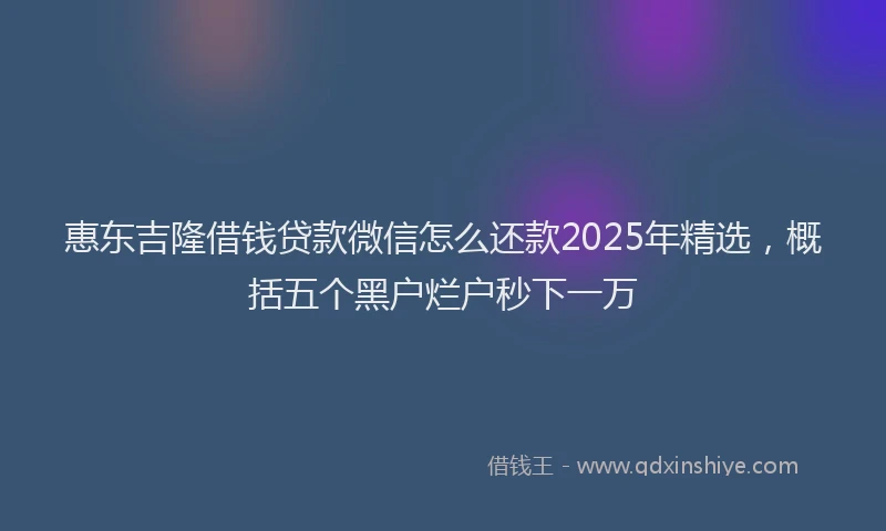 惠东吉隆借钱贷款微信怎么还款2025年精选，概括五个黑户烂户秒下一万
