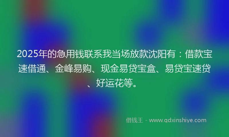 2025年的急用钱联系我当场放款沈阳有：借款宝速借通、金峰易购、现金易贷宝盒、易贷宝速贷、好运花等。