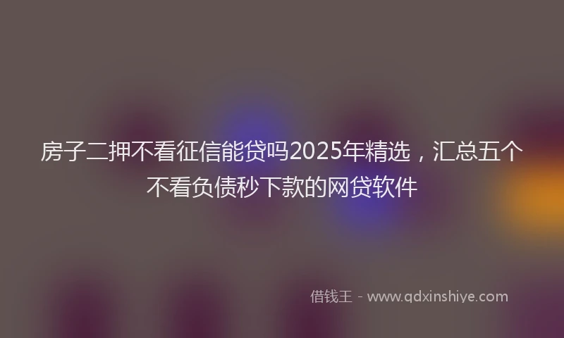房子二押不看征信能贷吗2025年精选，汇总五个不看负债秒下款的网贷软件