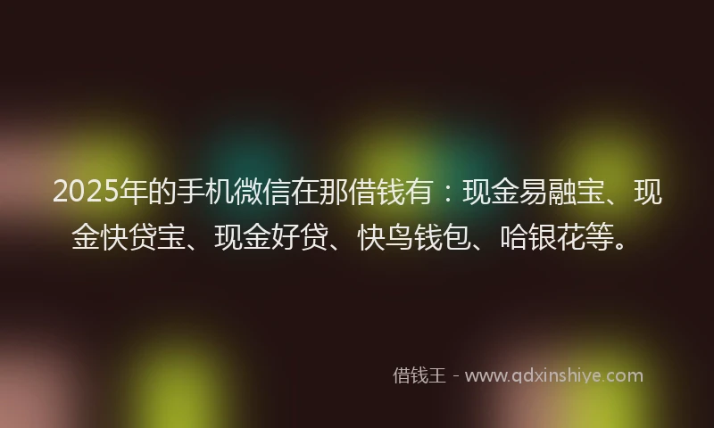 2025年的手机微信在那借钱有：现金易融宝、现金快贷宝、现金好贷、快鸟钱包、哈银花等。