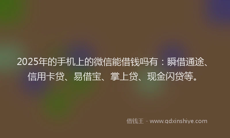 2025年的手机上的微信能借钱吗有：瞬借通途、信用卡贷、易借宝、掌上贷、现金闪贷等。