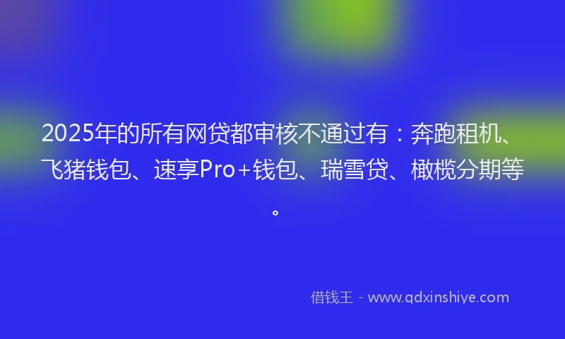 2025年的所有网贷都审核不通过有：奔跑租机、飞猪钱包、速享Pro+钱包、瑞雪贷、橄榄分期等。