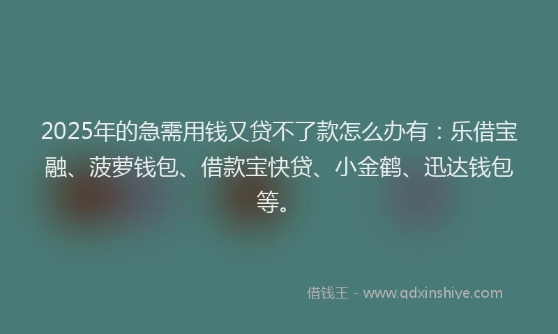 2025年的急需用钱又贷不了款怎么办有：乐借宝融、菠萝钱包、借款宝快贷、小金鹤、迅达钱包等。