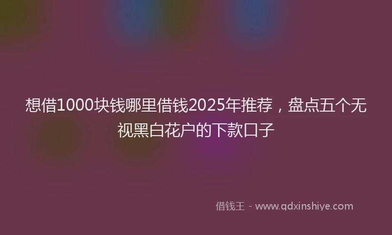 想借1000块钱哪里借钱2025年推荐，盘点五个无视黑白花户的下款口子