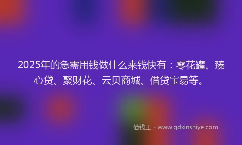 2025年的急需用钱做什么来钱快有：零花罐、臻心贷、聚财花、云贝商城、借贷宝易等。