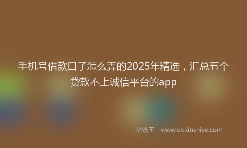 手机号借款口子怎么弄的2025年精选，汇总五个贷款不上诚信平台的app
