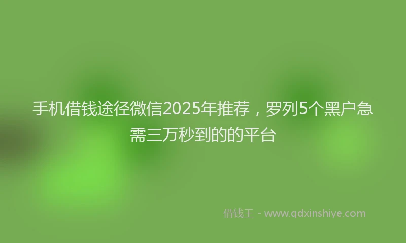 手机借钱途径微信2025年推荐，罗列5个黑户急需三万秒到的的平台