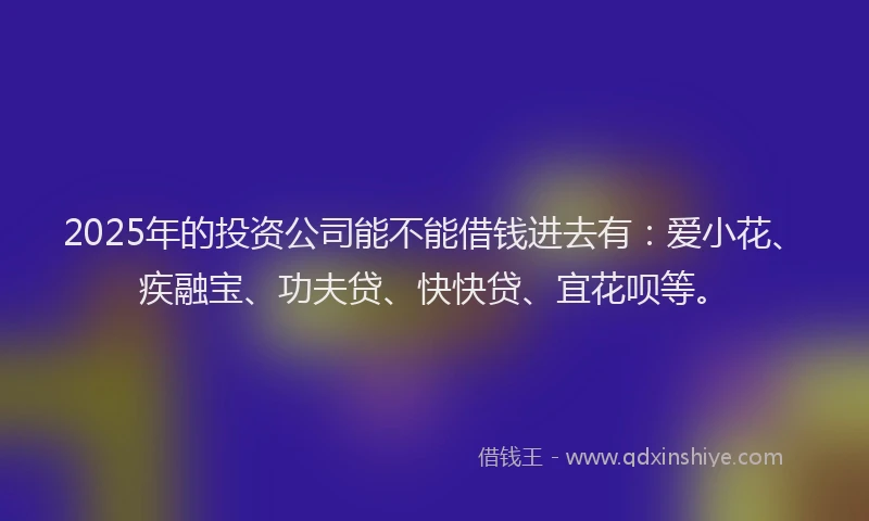 2025年的投资公司能不能借钱进去有：爱小花、疾融宝、功夫贷、快快贷、宜花呗等。