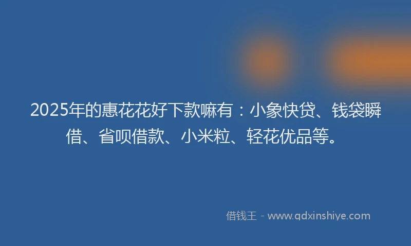 2025年的惠花花好下款嘛有：小象快贷、钱袋瞬借、省呗借款、小米粒、轻花优品等。