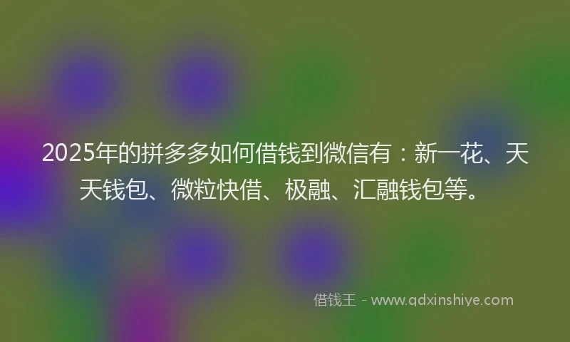 2025年的拼多多如何借钱到微信有：新一花、天天钱包、微粒快借、极融、汇融钱包等。