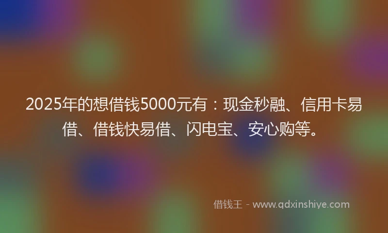 2025年的想借钱5000元有：现金秒融、信用卡易借、借钱快易借、闪电宝、安心购等。