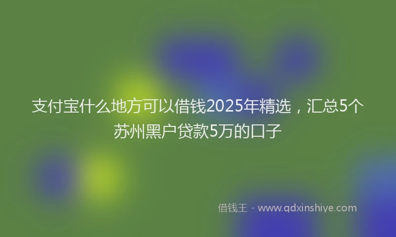 支付宝什么地方可以借钱2025年精选，汇总5个苏州黑户贷款5万的口子