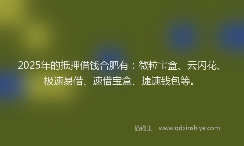 2025年的抵押借钱合肥有：微粒宝盒、云闪花、极速易借、速借宝盒、捷速钱包等。