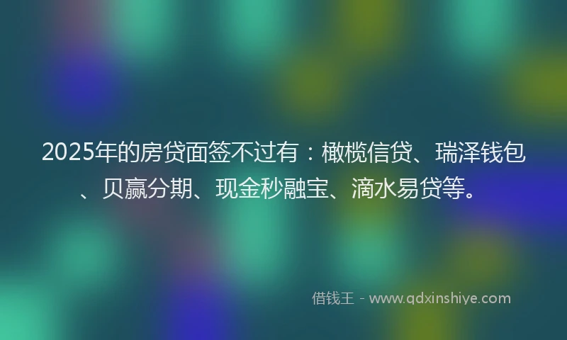 2025年的房贷面签不过有：橄榄信贷、瑞泽钱包、贝赢分期、现金秒融宝、滴水易贷等。