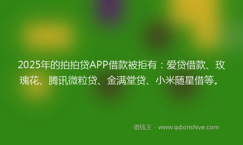 2025年的拍拍贷APP借款被拒有：爱贷借款、玫瑰花、腾讯微粒贷、金满堂贷、小米随星借等。