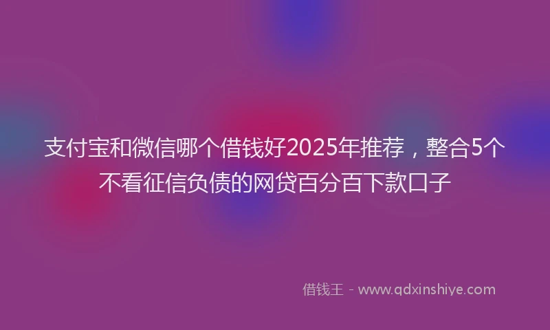支付宝和微信哪个借钱好2025年推荐，整合5个不看征信负债的网贷百分百下款口子
